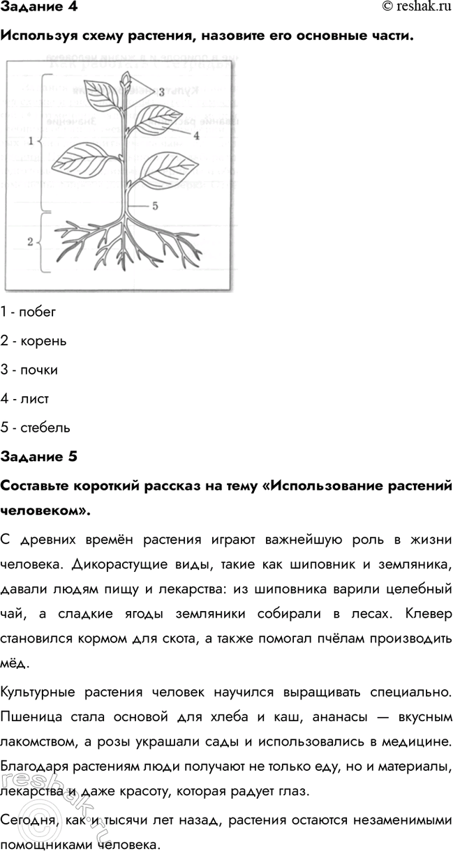 Дополнительное изображение