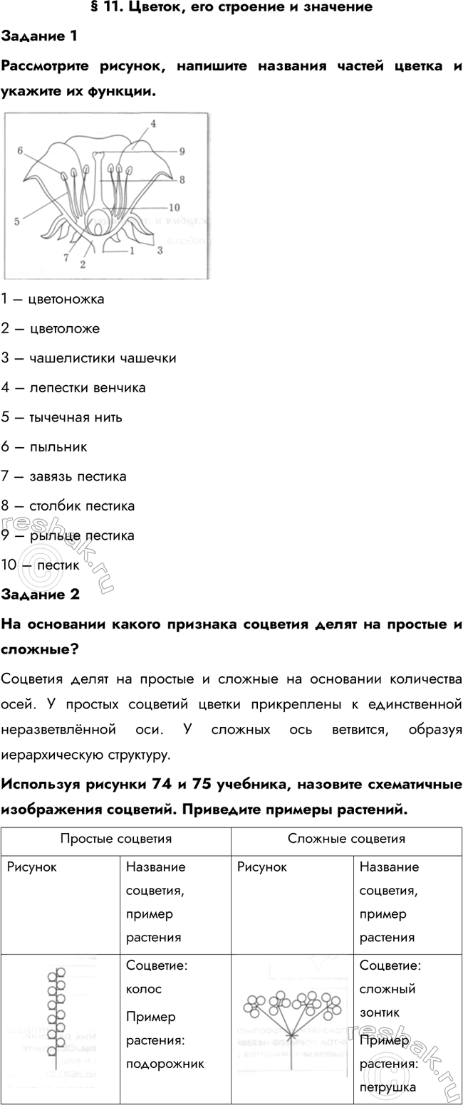 Изображение § 11. Цветок, его строение и значение  Задание 1  Рассмотрите рисунок, напишите названия частей...