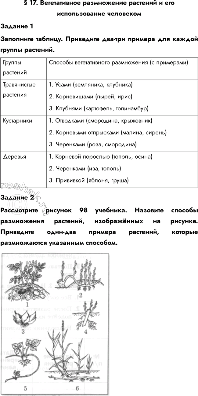 Изображение § 17. Вегетативное размножение растений и его использование человеком  Задание 1  Заполните...