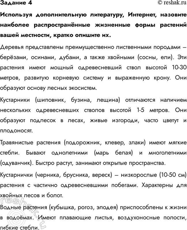 Дополнительное изображение