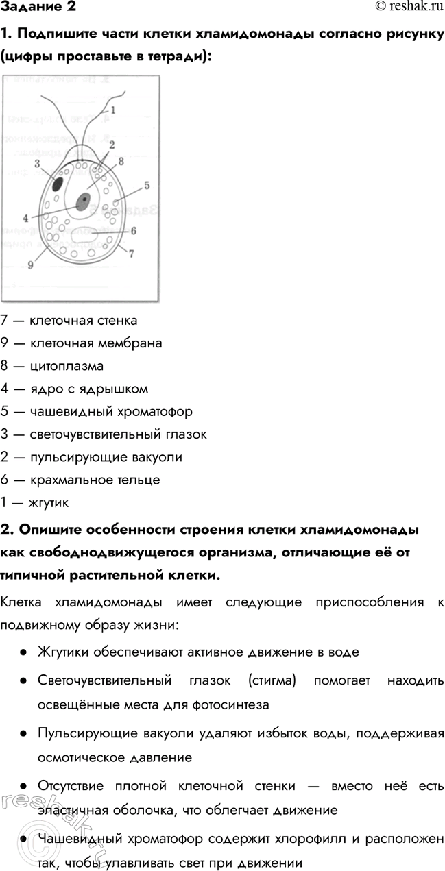 Дополнительное изображение
