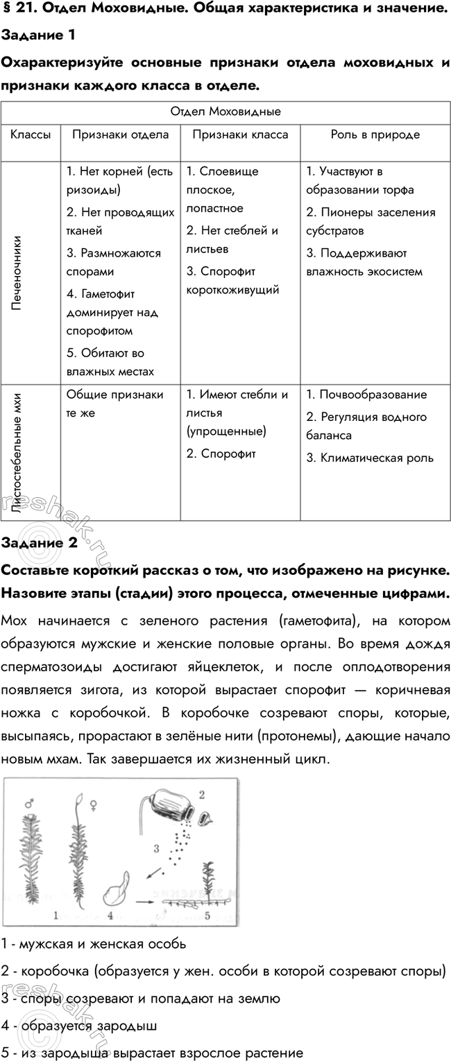 Изображение § 21. Отдел Моховидные. Общая характеристика и значение.  Задание 1  Охарактеризуйте основные...