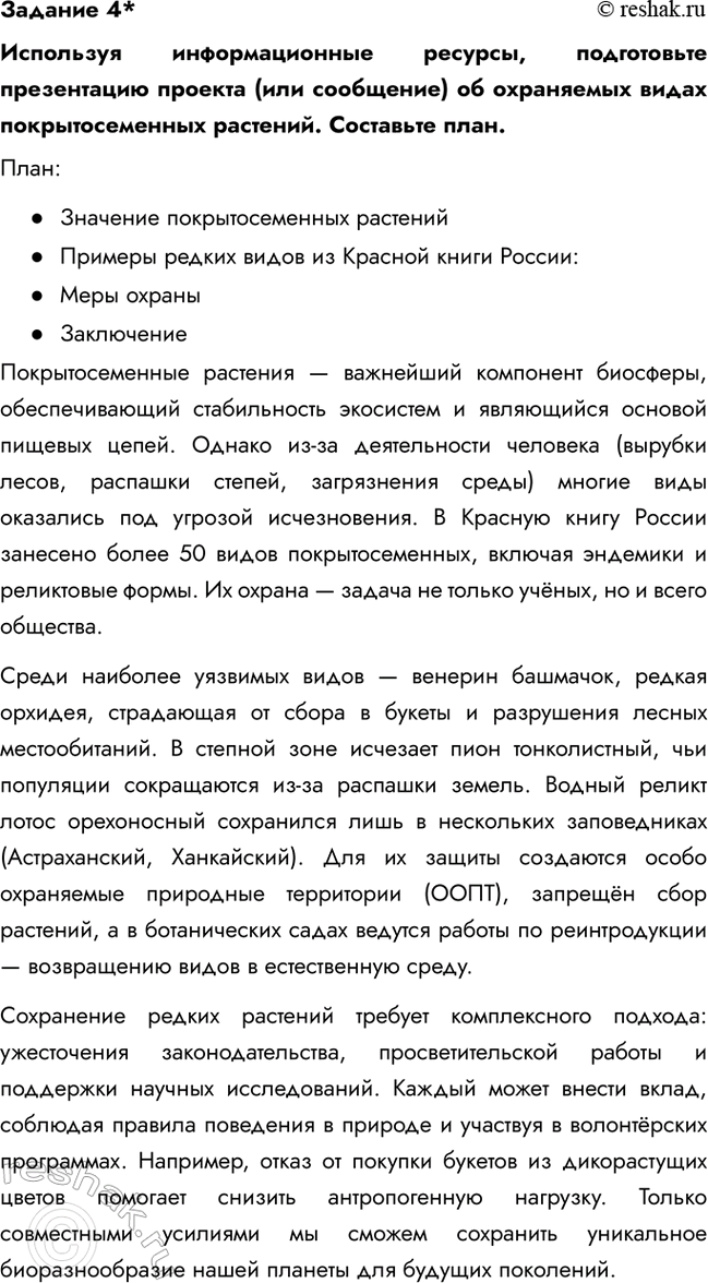 Дополнительное изображение
