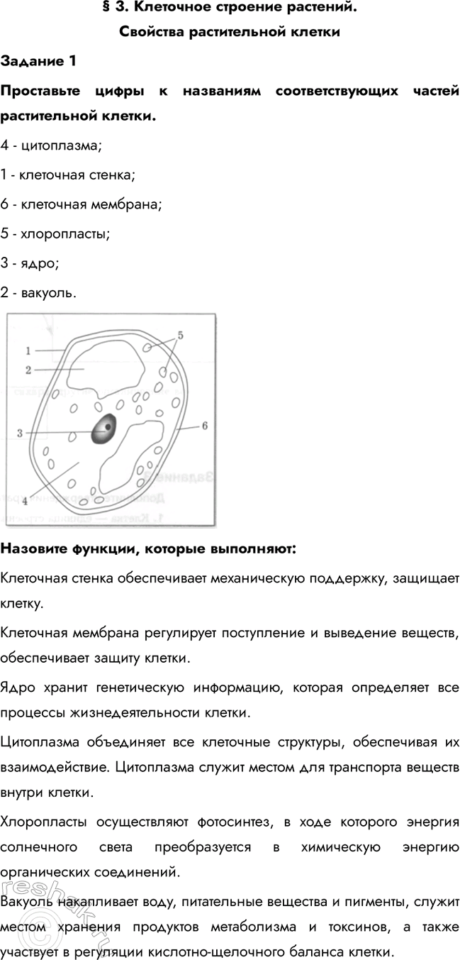 Изображение § 3. Клеточное строение растений. Свойства растительной клетки  Задание 1  Проставьте цифры к...