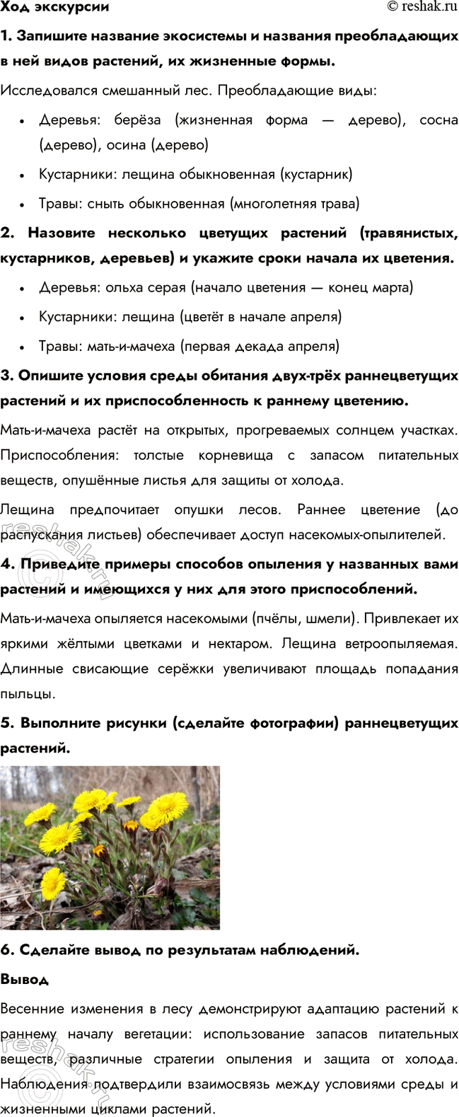 Дополнительное изображение