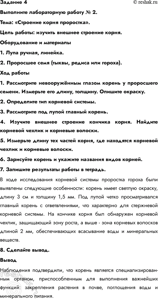 Дополнительное изображение
