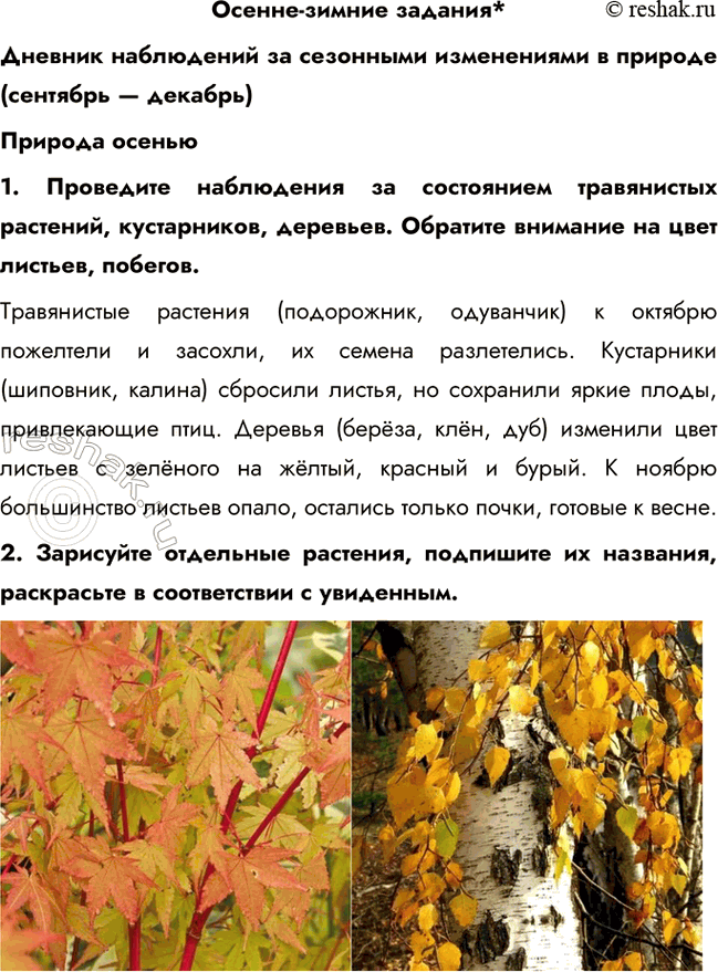 Изображение Осенне-зимние задания*  Дневник наблюдений за сезонными изменениями в природе (сентябрь —...