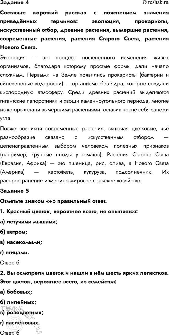 Дополнительное изображение