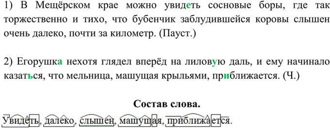 Изображение 307. Спишите, расставляя знаки препинания. Обозначьте морфемный состав выделенных слов.  1) В...