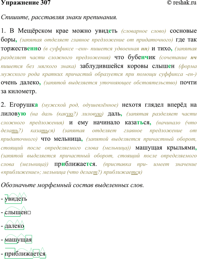 Изображение 307. Спишите, расставляя знаки препинания. Обозначьте морфемный состав выделенных слов.  1) В...