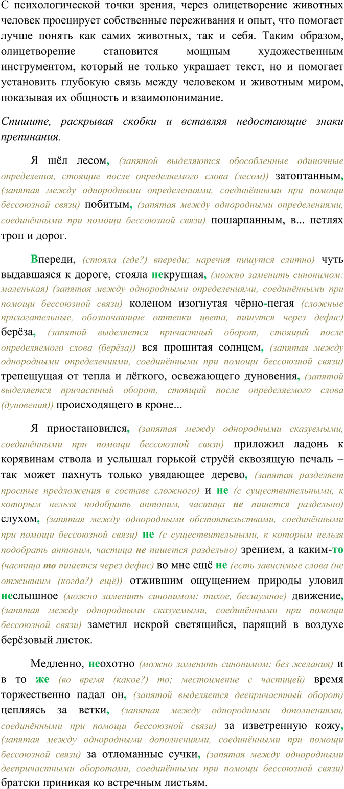 Дополнительное изображение