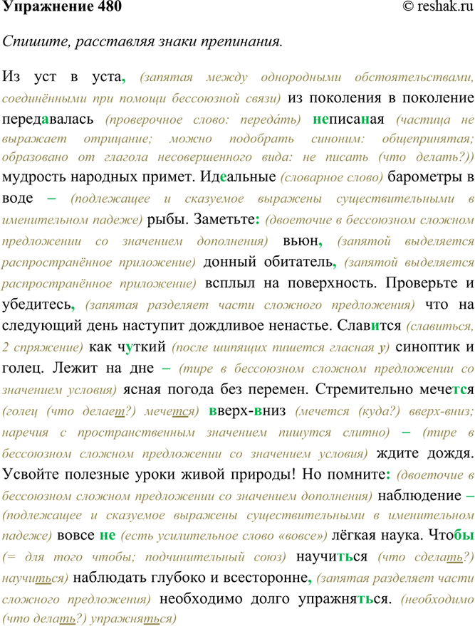 Изображение 480. Спишите, расставляя знаки препинания. Составьте схемы и сделайте синтаксический разбор...