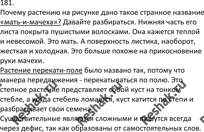 Изображение 181. На уроке биологии. Спишите текст, затем придумайте его продолжение. По данному образцу...