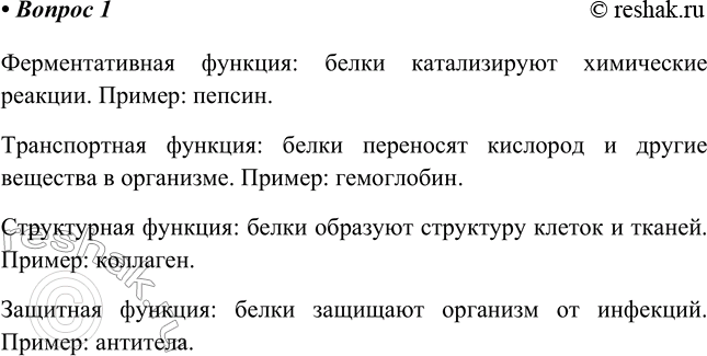 Изображение 1. Какие функции выполняют в организме белки? Перечислите некоторые из них и приведите...