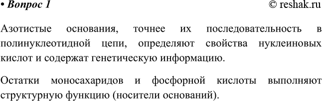 Изображение 1. Какую роль в нуклеиновых кислотах играют азотистые основания, сахар, фосфорная кислота?   ...