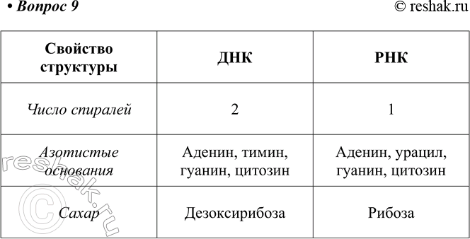 Изображение 9*. Укажите основные отличия РНК от ДНК. Сравните состав и строение этих молекул.    Свойство...