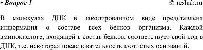 Изображение 1. Объясните, какая информация и каким образом закодирована в ДНК.    В молекулах ДНК в...