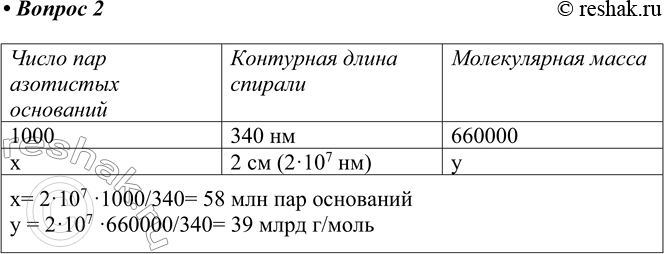 Изображение 2. Молекула ДНК мухи-дрозофилы имеет контурную длину 2,0 см. Оцените число пар оснований в этой...