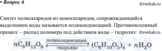 Изображение 6 Назовите химические термины-антонимы, характеризующие синтез и распад молекул ди- и...
