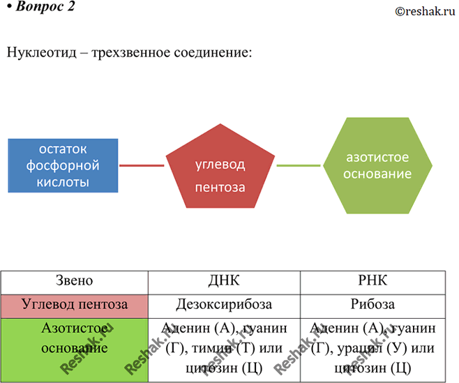 Изображение Параграф 18 Вопрос 2 ГДЗ Габриелян 10 класс (базовый уровень)