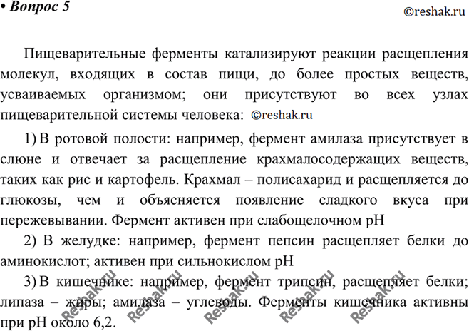 Изображение 5 Вспомните из курса биологии известные вам пищеварительные ферменты и расскажите об их...