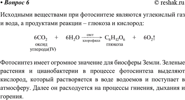 Изображение 6. Назовите исходные вещества и продукты реакции процесса фотосинтеза.Какое значение имеет...