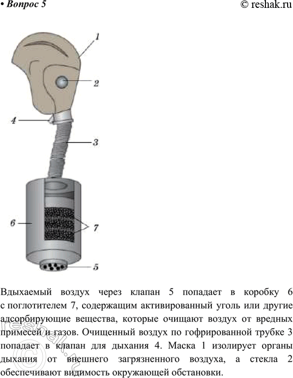 Изображение 5. Пользуясь рисунком 78, опишите устройство противогаза.    Вдыхаемый воздух через клапан 5...