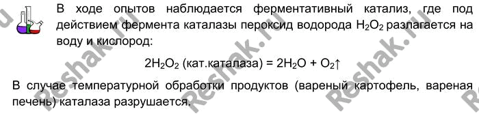 Изображение Лабораторный опыт № 10  Обнаружение каталазы в пищевых продуктах  Исследуем некоторые...
