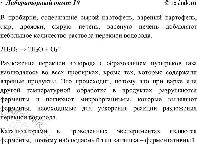 Изображение Лабораторный опыт № 10  Обнаружение каталазы в пищевых продуктах  Исследуем некоторые...