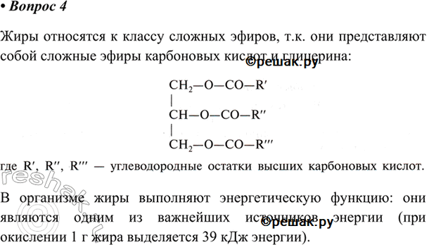 Изображение 4. К какому классу органических веществ относятся жиры? Какую роль жиры играют в организме?   ...