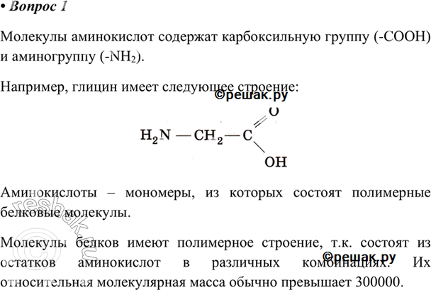 Изображение 1 Охарактеризуйте строение молекул аминокислот и белков.    Молекулы аминокислот содержат...